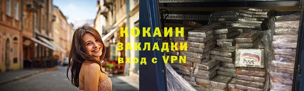 шишки Абаза