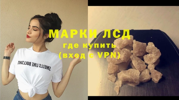 шишки Абаза