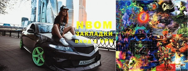 шишки Абаза