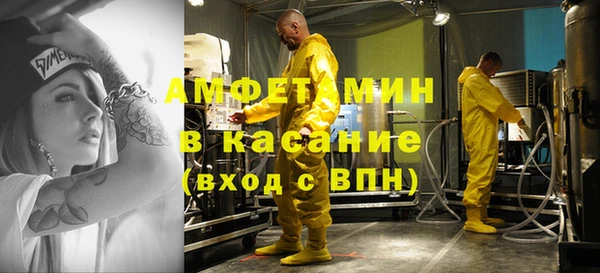 шишки Абаза